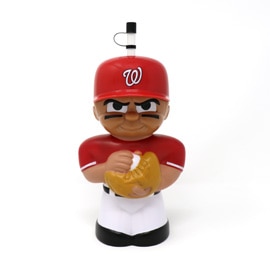 Washington Nationals Big Sip Water Bottle